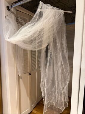David's Bridal Cathedral Length Tulle Veil with Pearl Accents